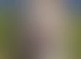 Pomsky's tag thumbnail