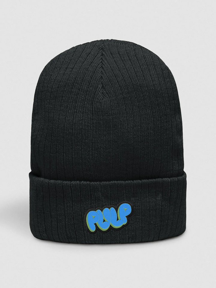Pulp Ribbed Knit Beanie product image (1)