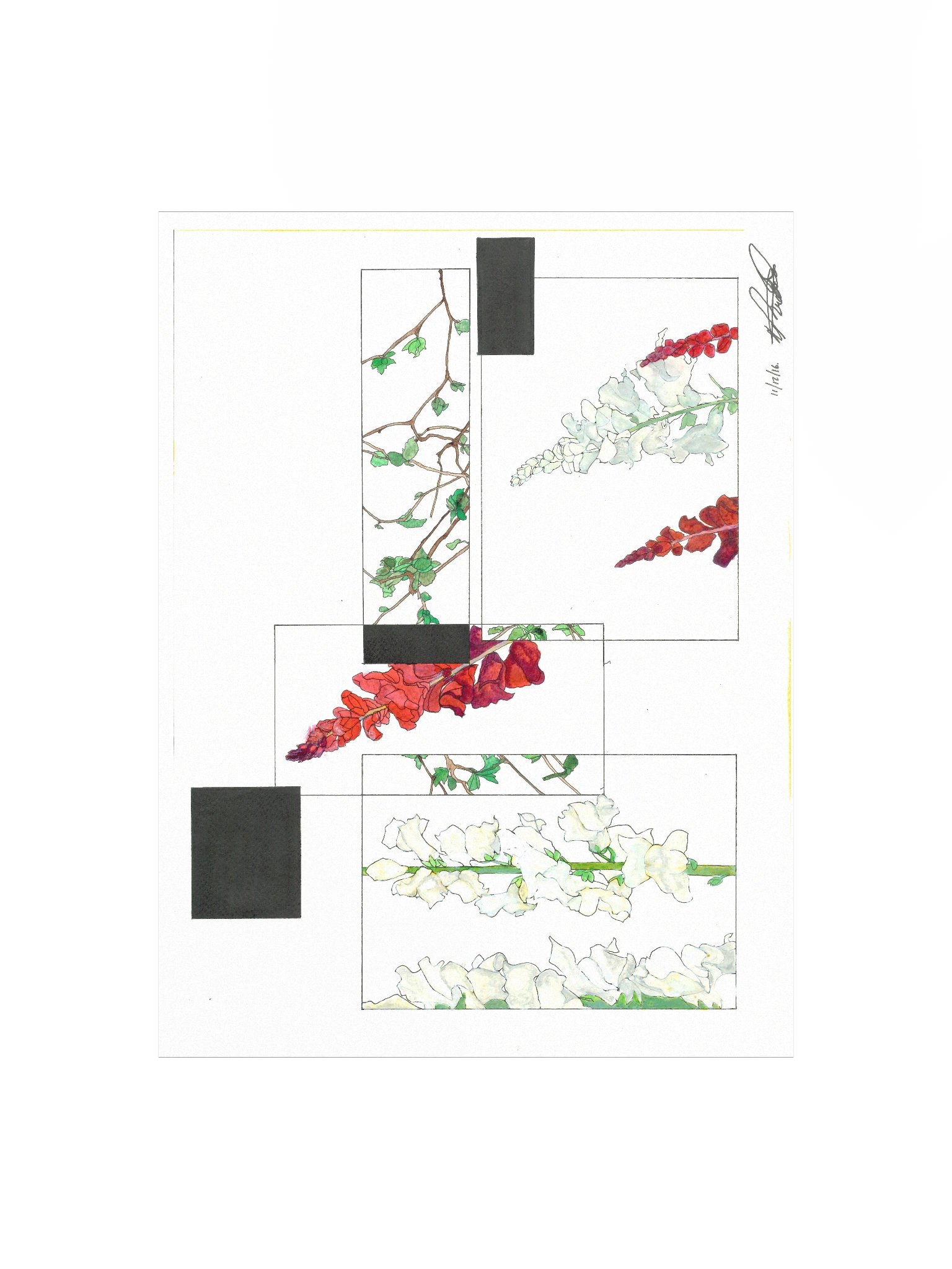 Floral Frames Poster Print (Landscape) product image (1)