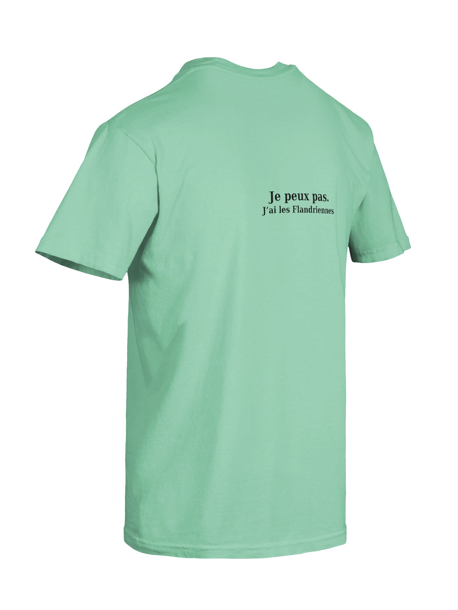 Flandriennes Island Reef product image (4)