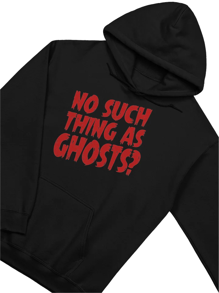 No Such Thing As Ghosts Large Logo Hoodie product image (2)