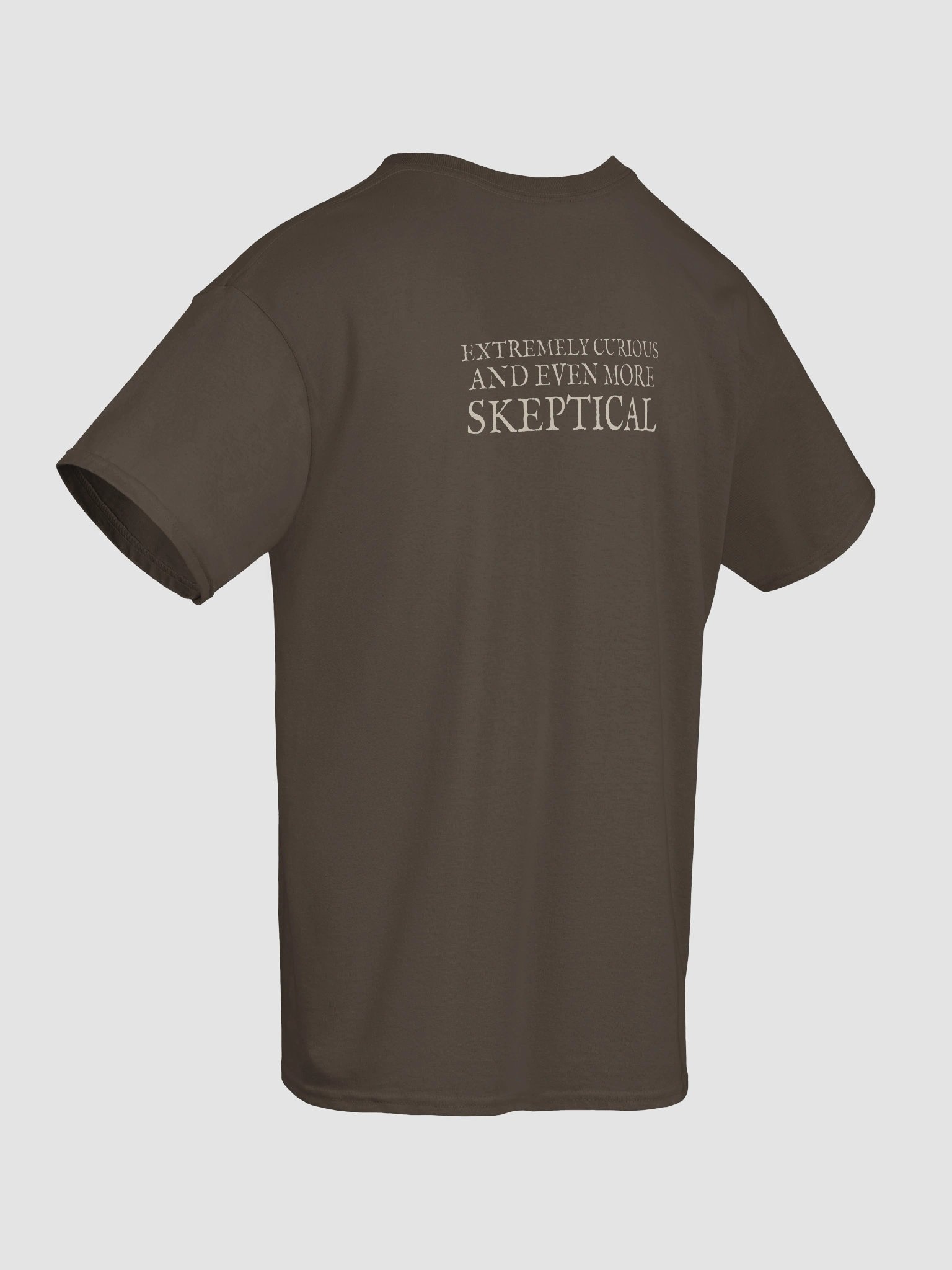 Tea Party Alice + Extremely Curious and Even More Skeptical Heavyweight Cotton T-Shirt, Original John Tenniel Illustration product image (8)