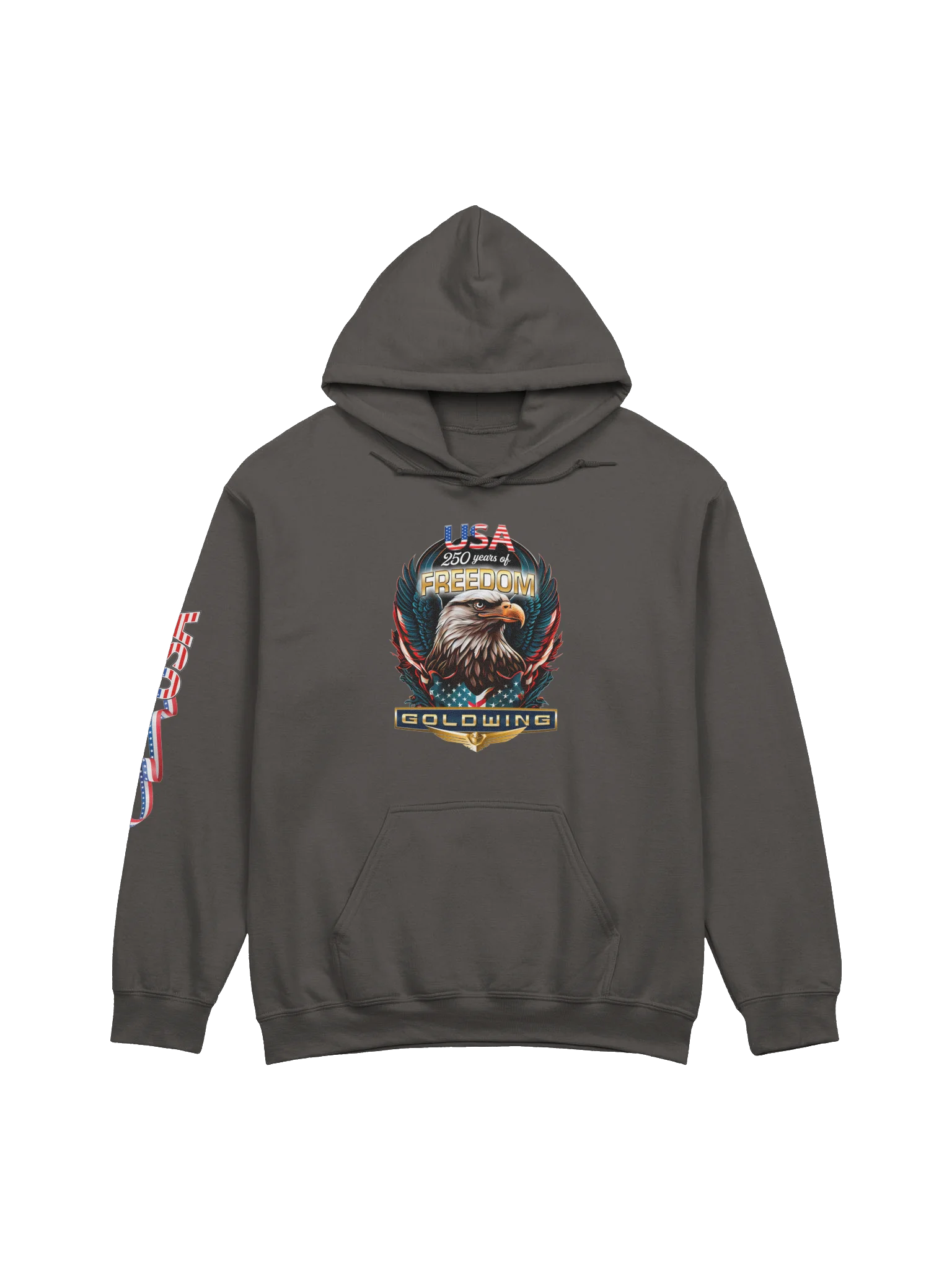 America 250 GOLDWING Hoodie product image (3)