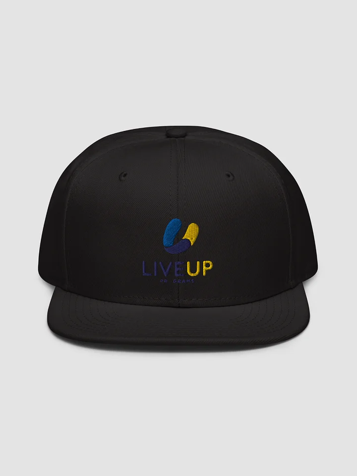 [LiveUp] Snapback - Otto Cap 125-978 product image (1)