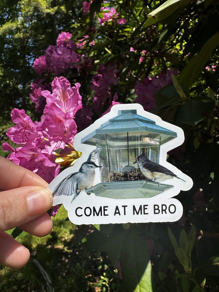 Come At Me Bro Funny Bird Sticker product image (1)