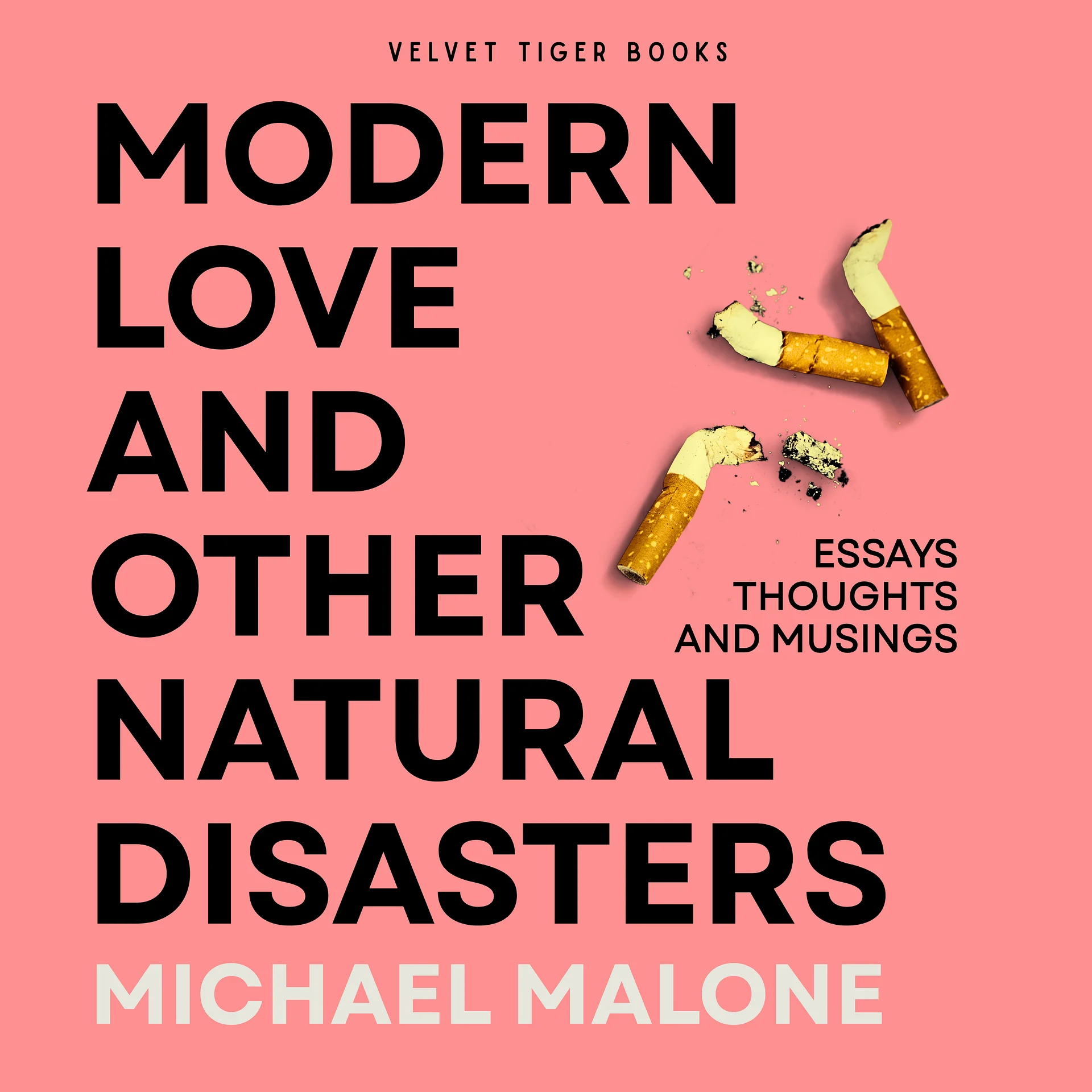 Modern Love and Other Natural Disasters (Audiobook) product image (1)