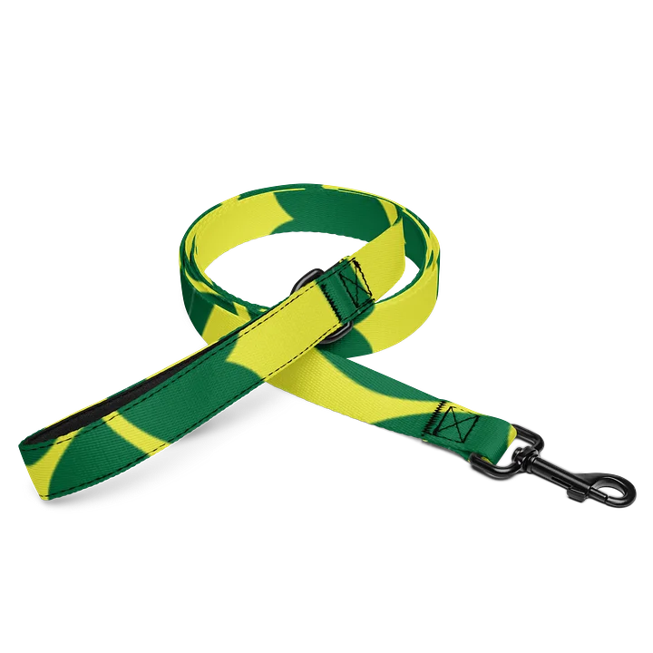 Pet Leash product image (1)