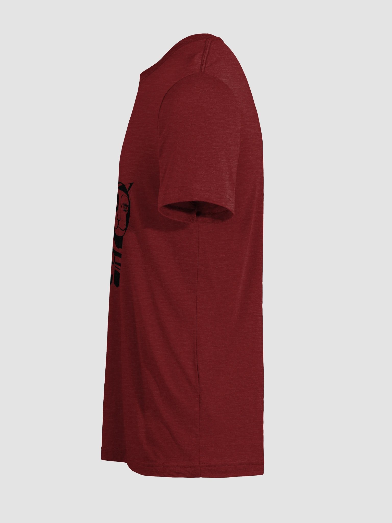 Invisible Elegance Tri-Blend Tee product image (100)