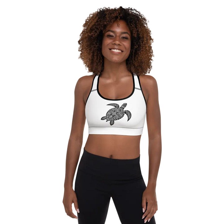 TURTLE product image (1)