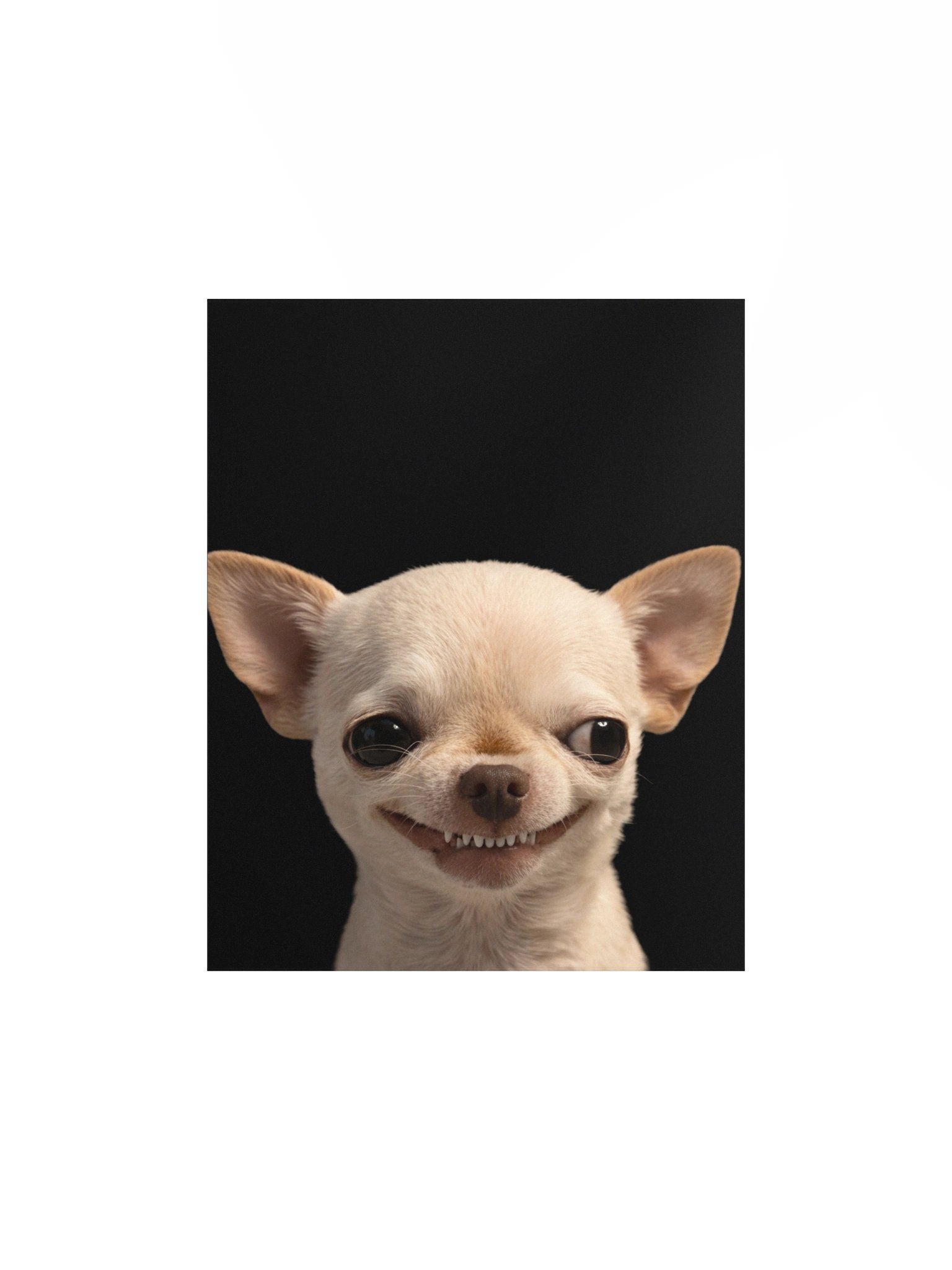 EvilDog Poster product image (1)