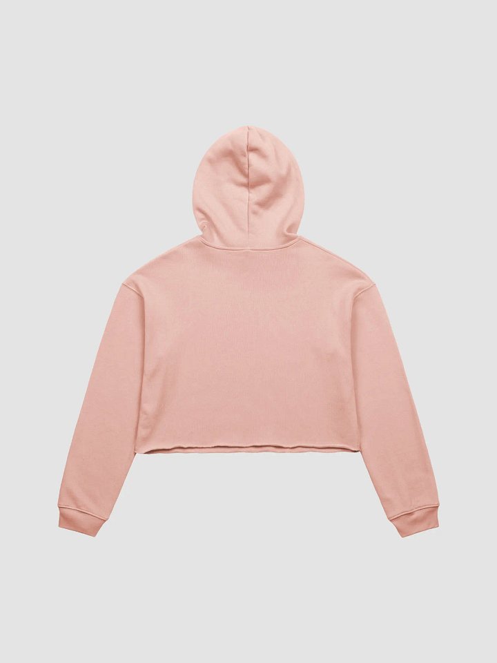 Aries Groovy Cropped Hoodie product image (2)