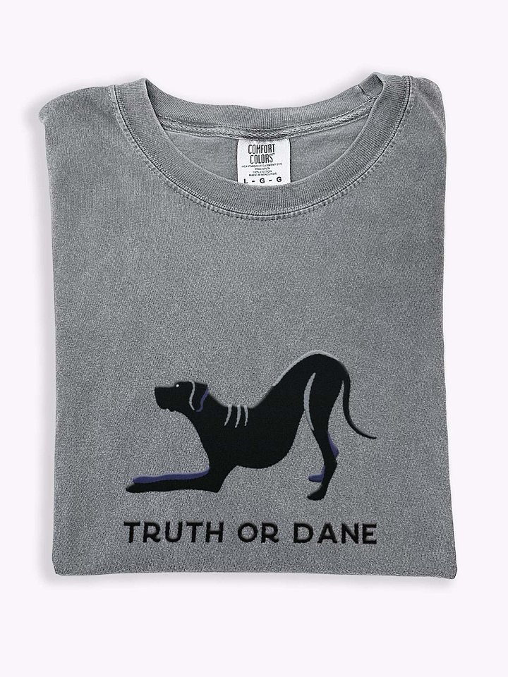 Truth or Dane T-Shirt(Embroidered) of a Great Dane(Black) product image (1)
