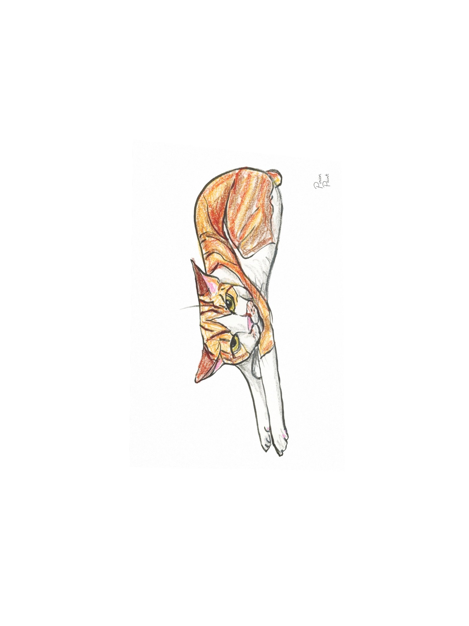 Sproot three product image (6)