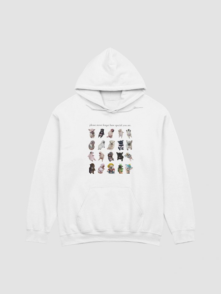 you are so special hoodie (and backside) - light colors product image (13)