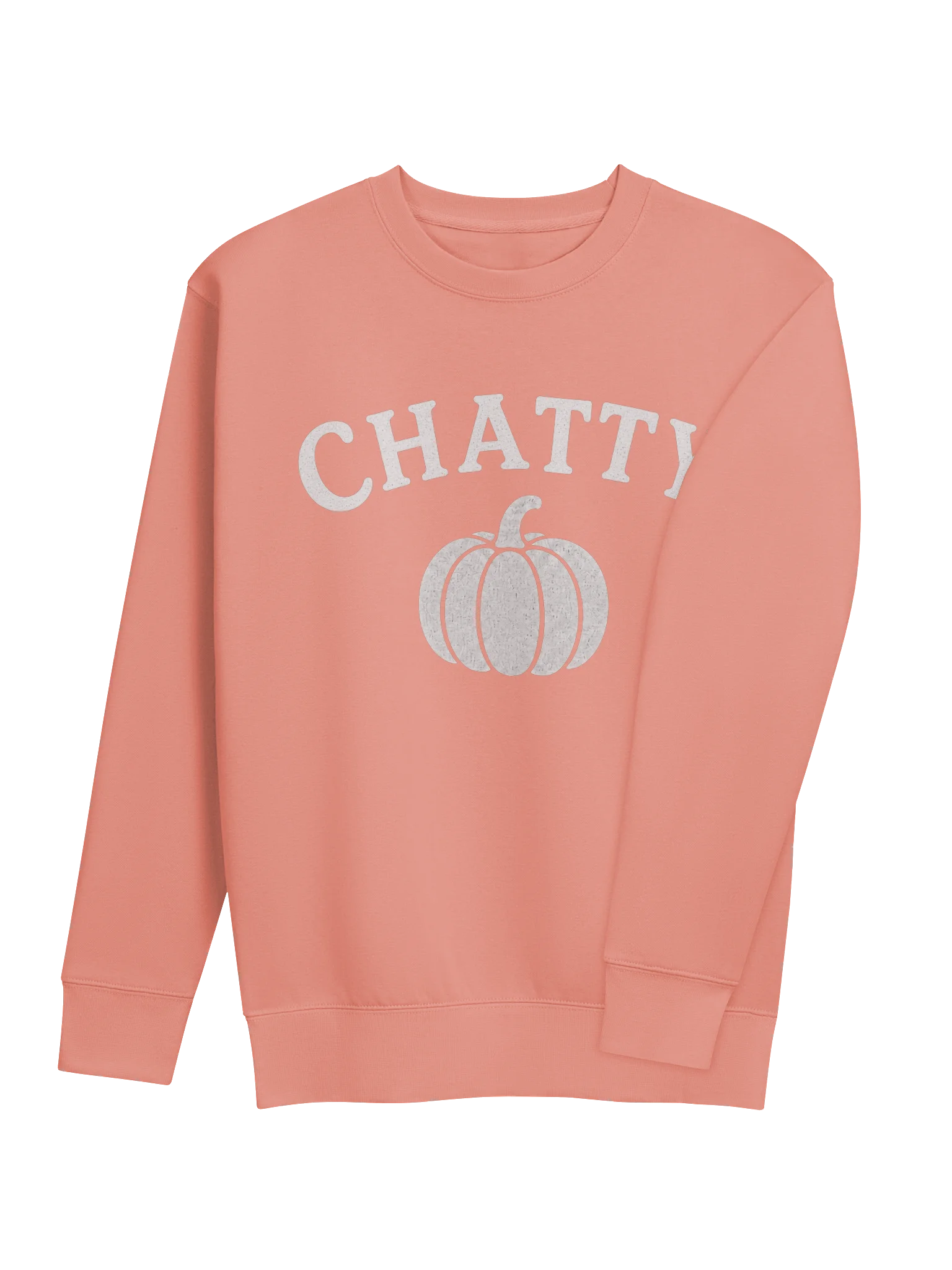 Chatty Pumpkin Premium Sweatshirt | Cozy Chatty Fall Collection product image (4)