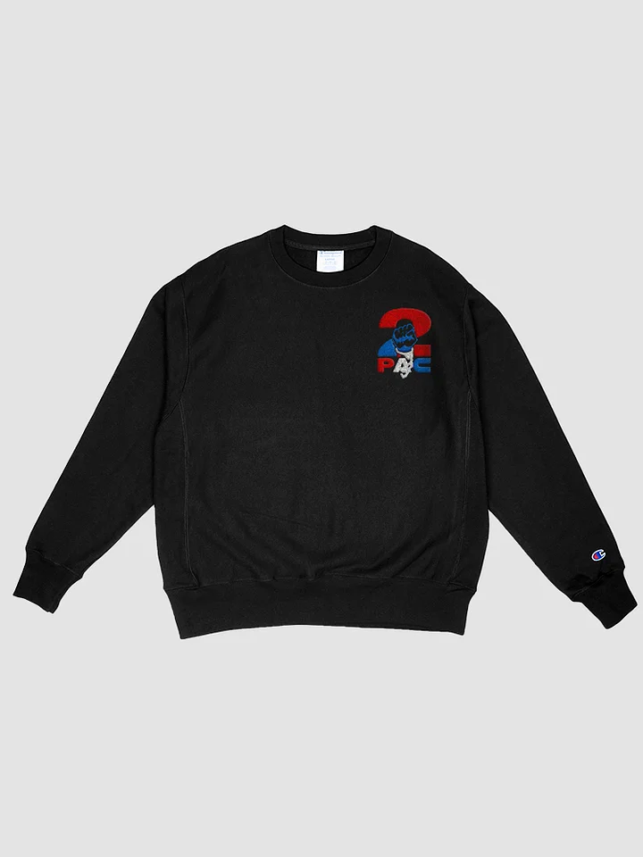 Champion Embroidered sweatshirt product image (1)