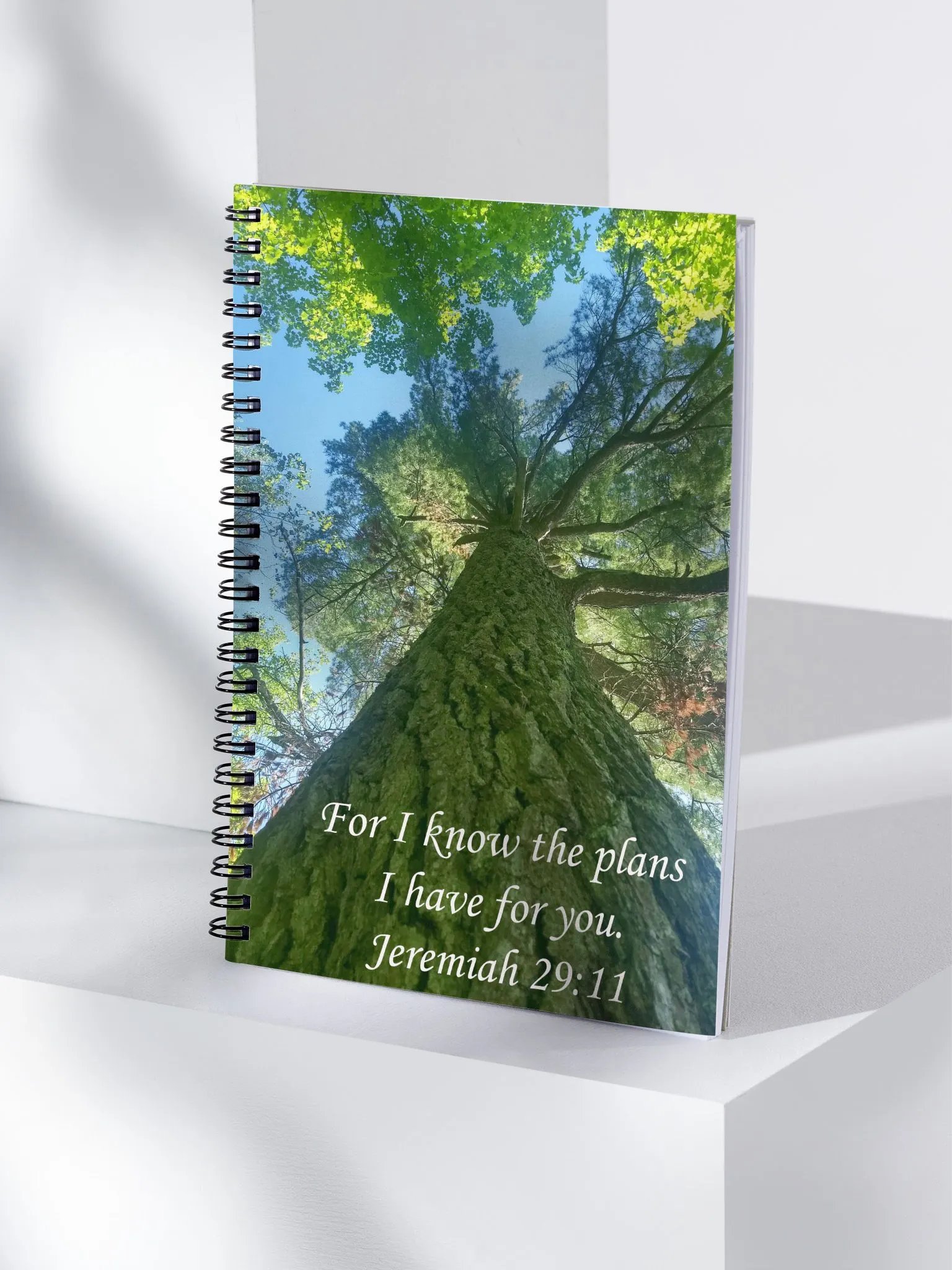 I Know the Plans - Journal product image (4)