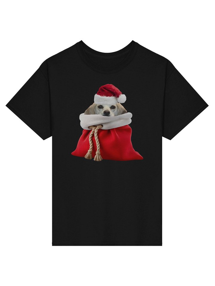 Gringito Claus T-Shirt product image (1)