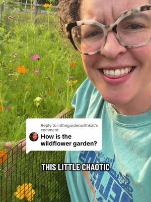 Replying to @inthegardenwithkat oh you mean the only thing going well in my life? Thank you for asking haha. Happy to report the Cosmos and zinnias are doing well in their chaos home. The snapdragons kinda got overtaken and are no longer present  #nursepractitioner #zinnias #cosmos #chaosgardening 
