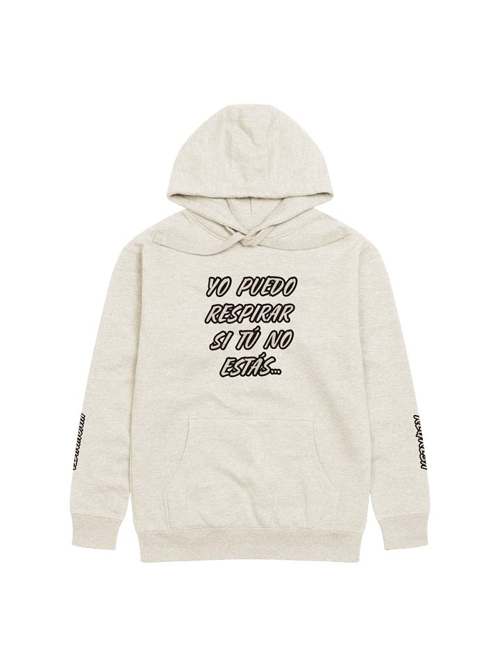 Regresa - Unisex Premium Hoodie product image (1)