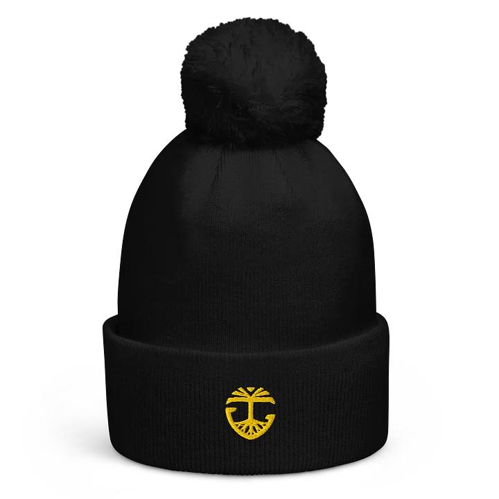 Pom-Pom Beanie product image (1)