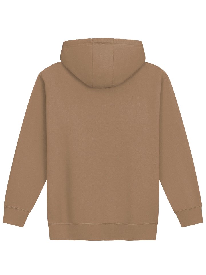 Reach For The Light (MOC) Hoodie product image (2)