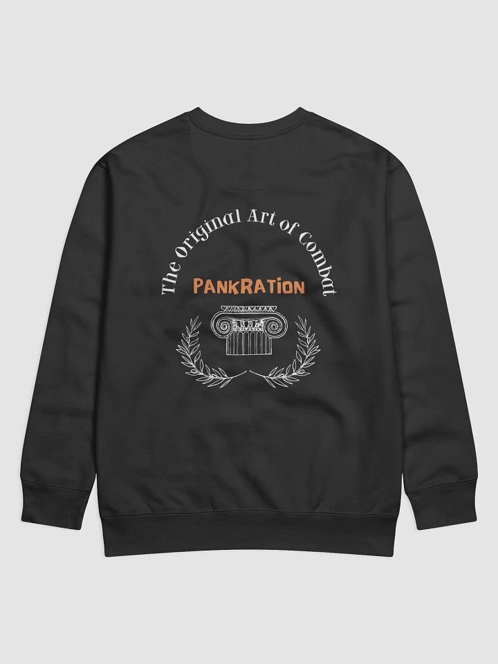 Theseus Painter Pankration Sweatshirt product image (5)