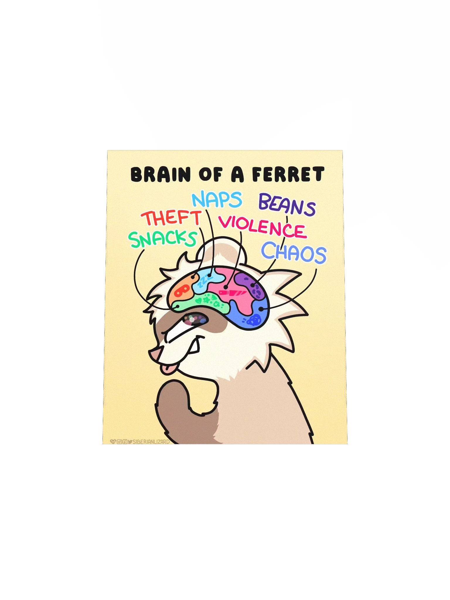 Ferret Brain | Poster product image (7)