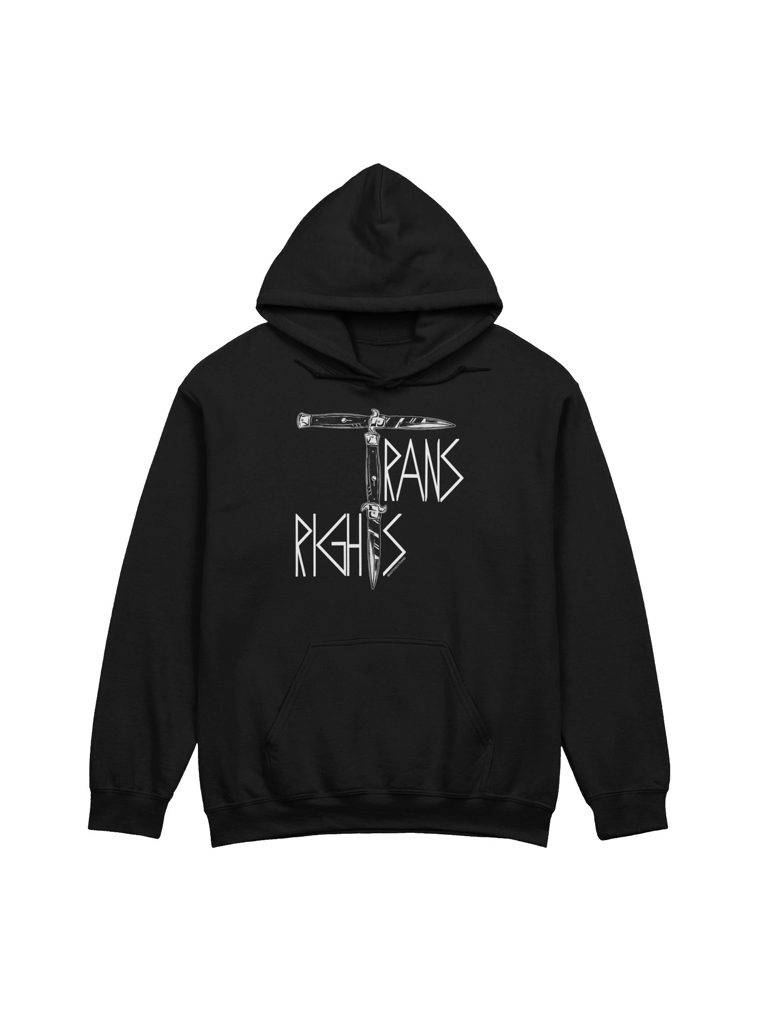 Trans Rights Hoodie product image (1)