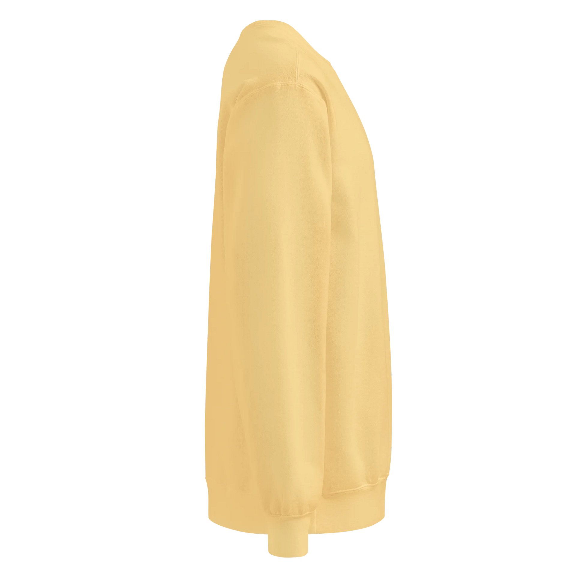 SDS Unisex Garment-Dyed Sweatshirt product image (37)