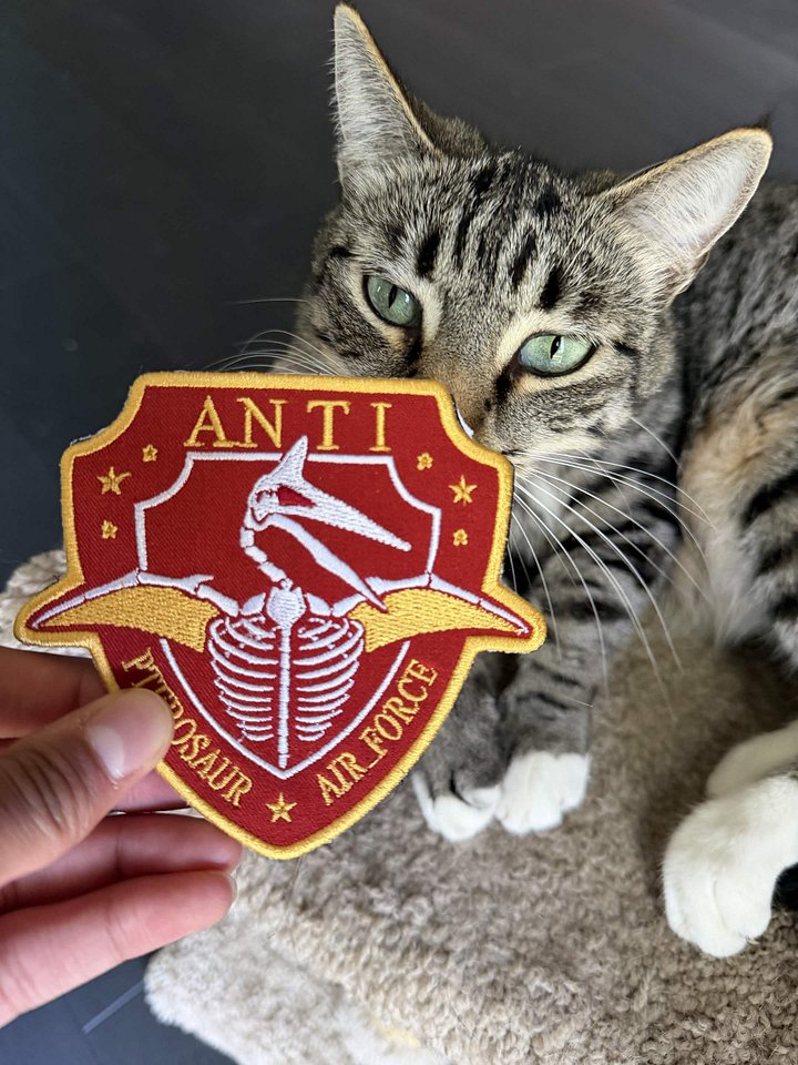 A.P.A.F. Badge product image (2)