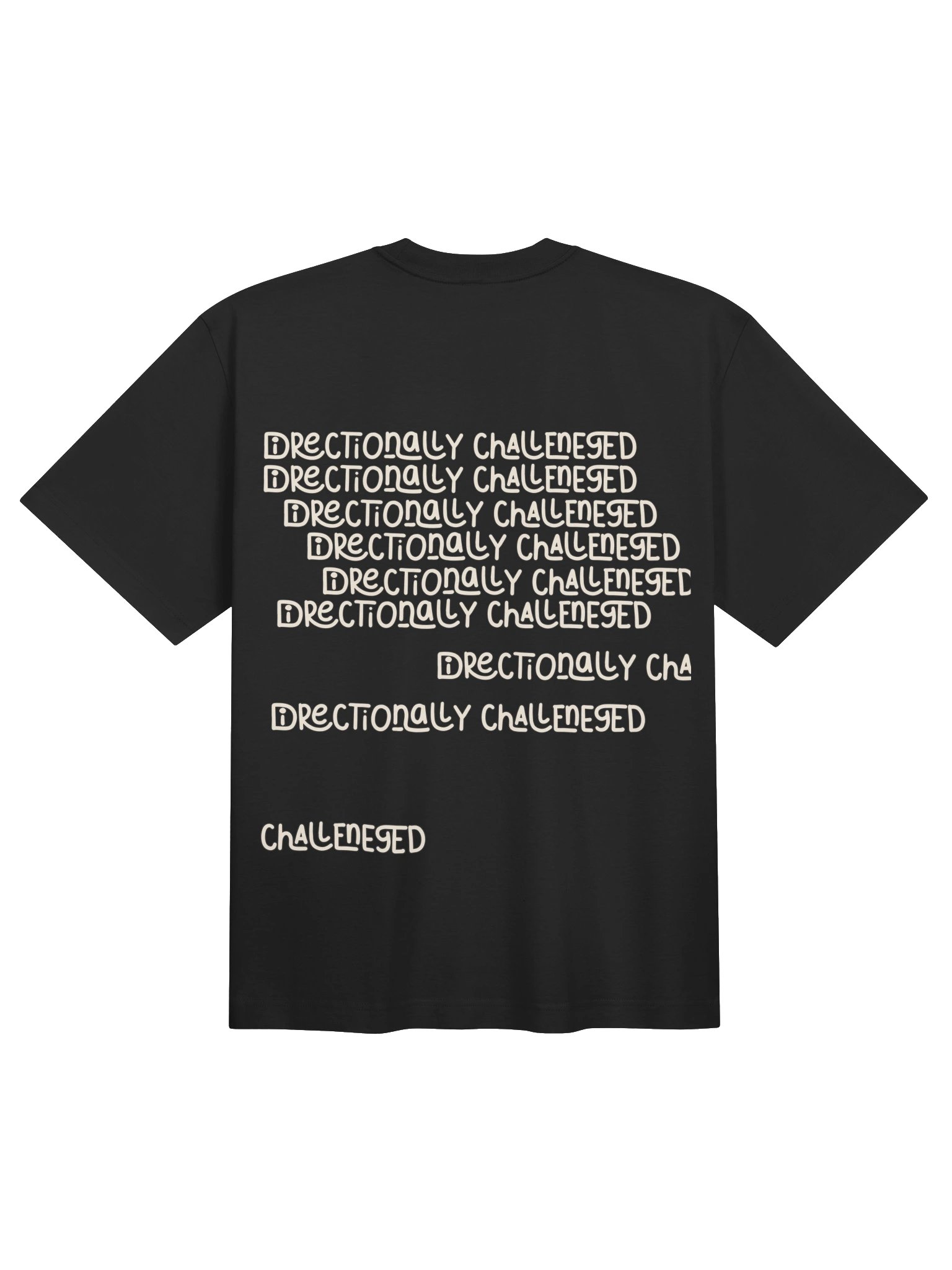 Directionally Challenged product image (4)
