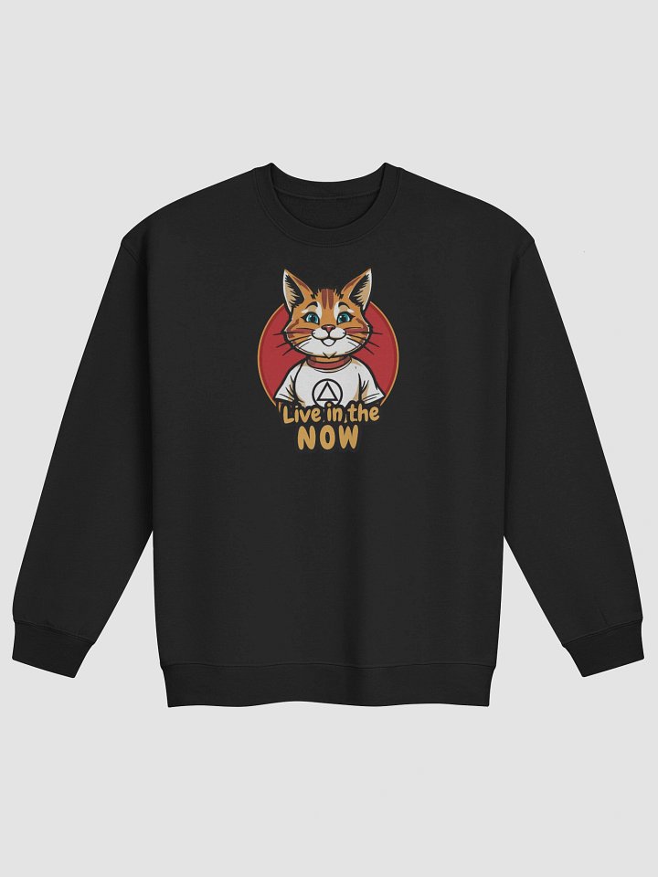 Live in the NOW Cat Lovers AA Recovery Sweatshirt product image (2)