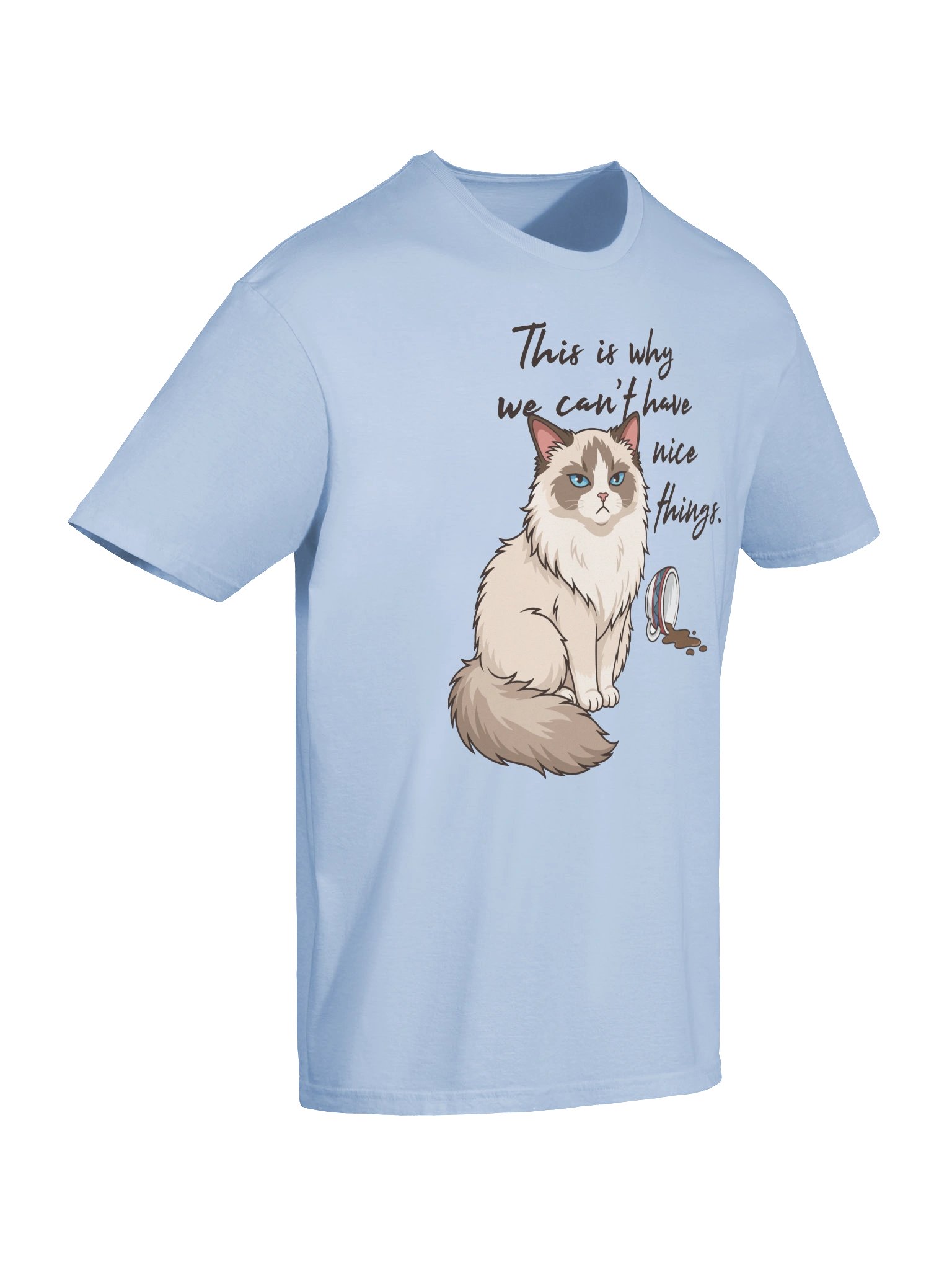 We Can't Have Nice Things Tee product image (27)