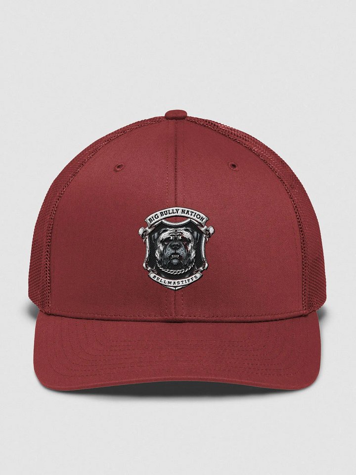 BBN Alter Ego Trucker Hat product image (1)