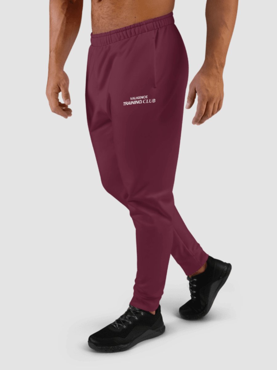 Training Club Joggers - Plum product image (3)