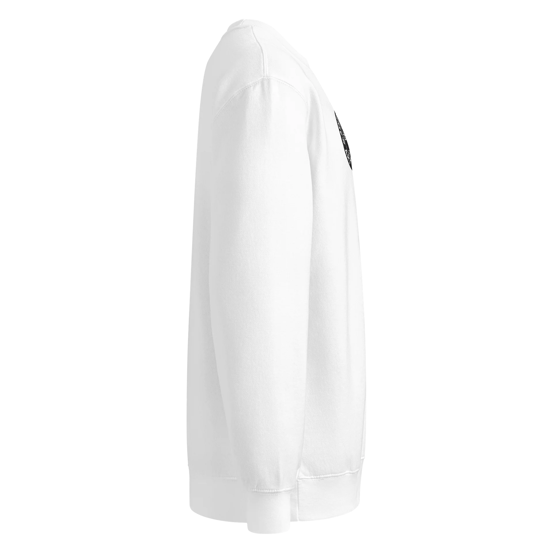 AshTree Anomaly White Sweatshirt product image (4)