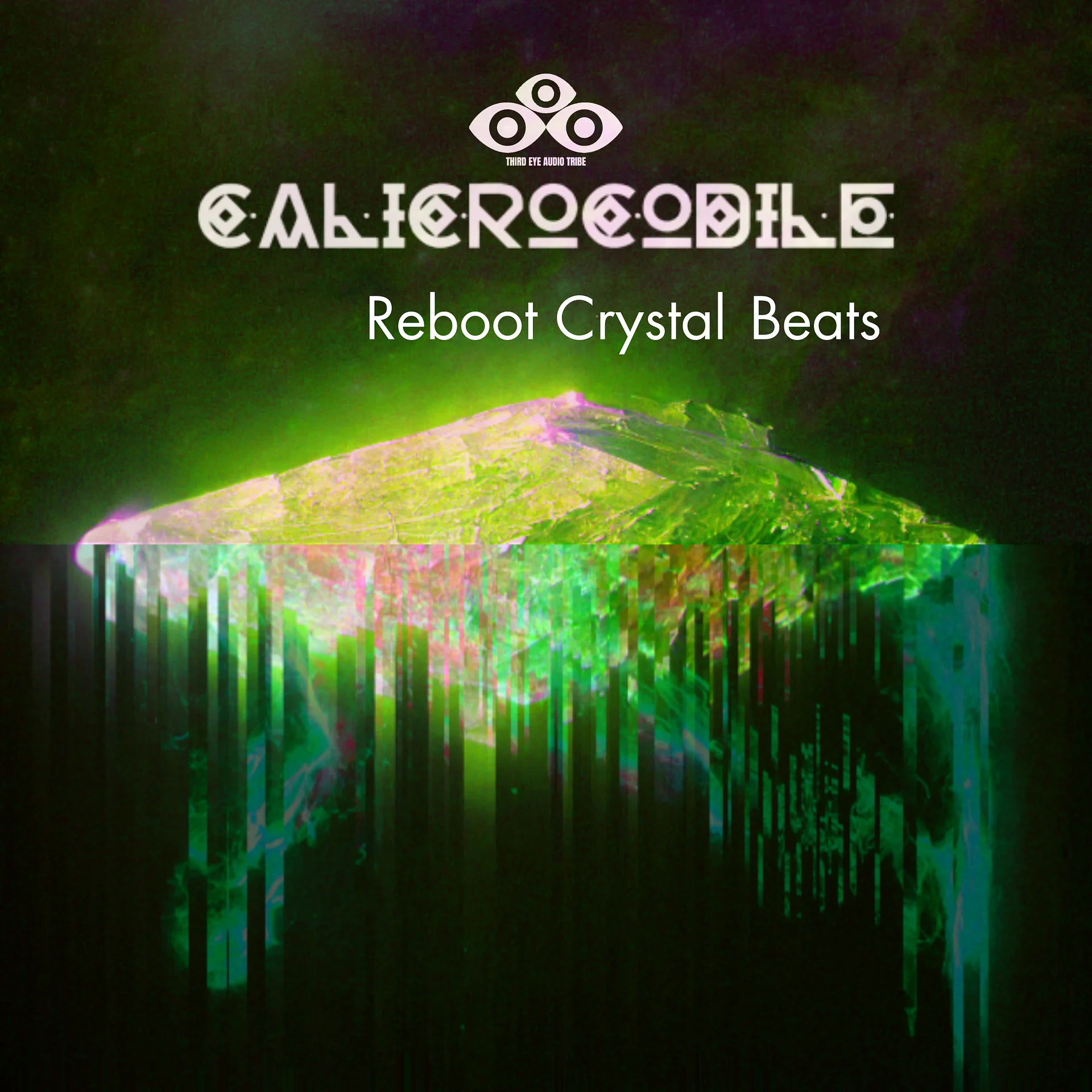 The Reboot Crystal Project + 2023 [FULL YEAR BUNDLE] product image (2)