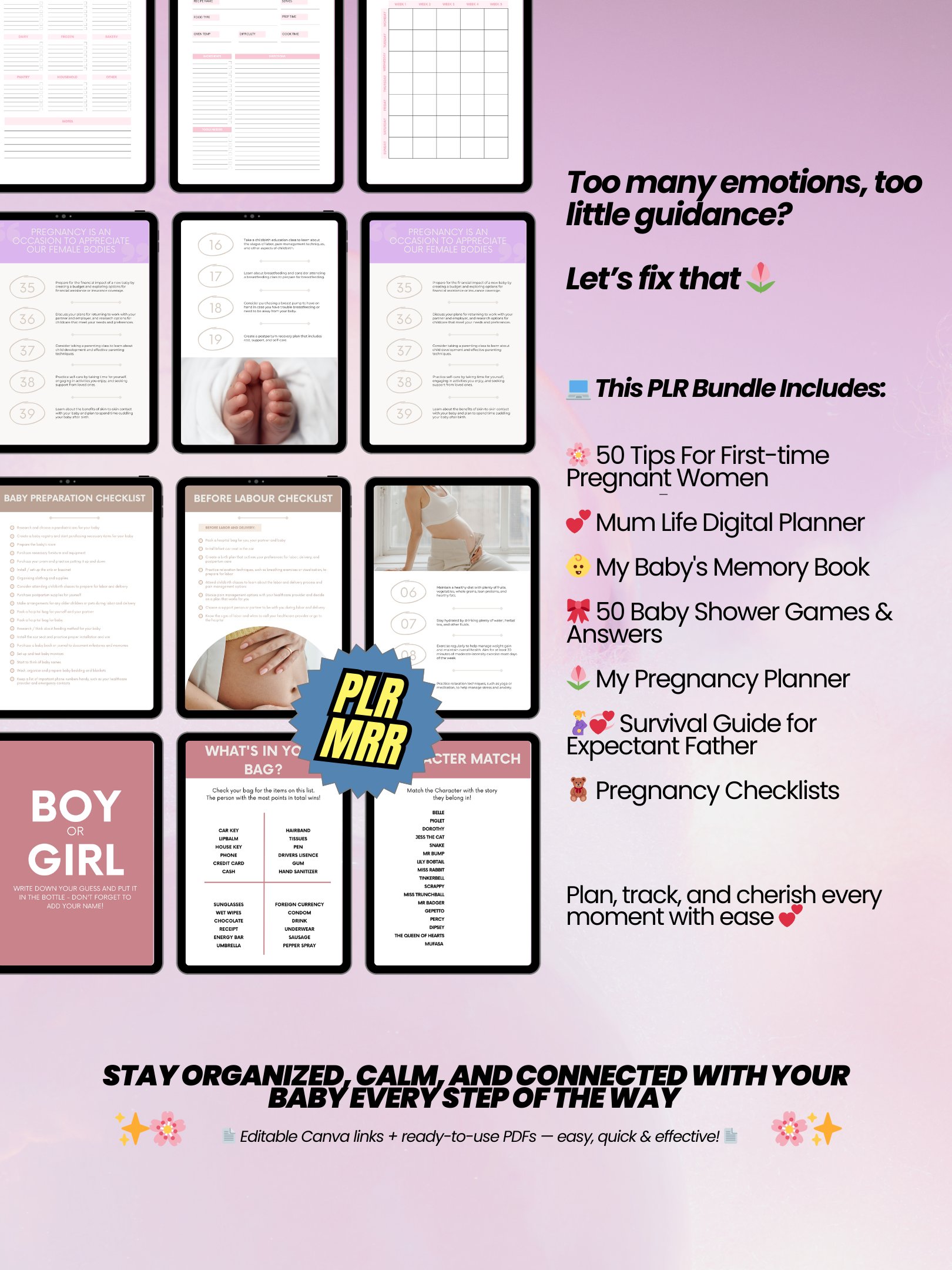 Pregnancy eBook Bundle | 7 Digital Products for New Moms | MRR PLR Bundle product image (5)