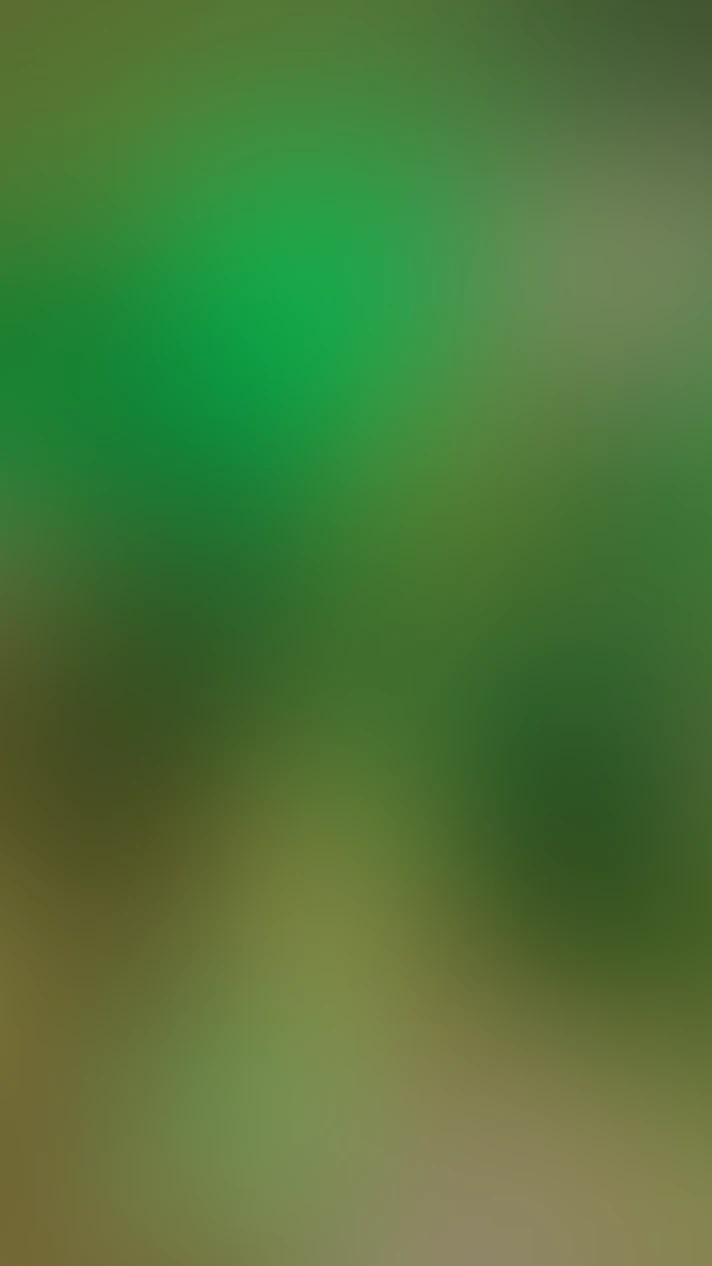 Video thumbnail background