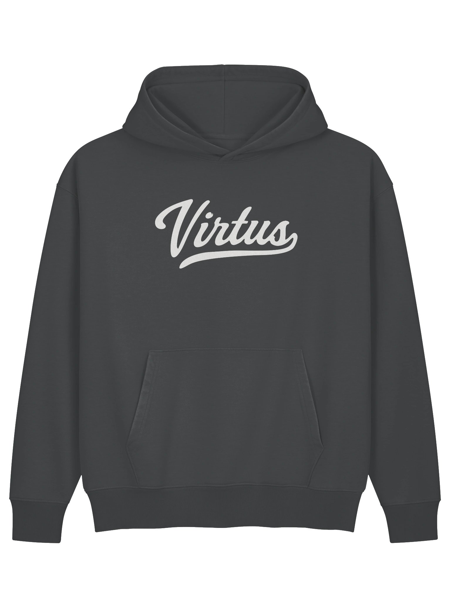 Virtus Script Heavyweight Hoodie product image (2)