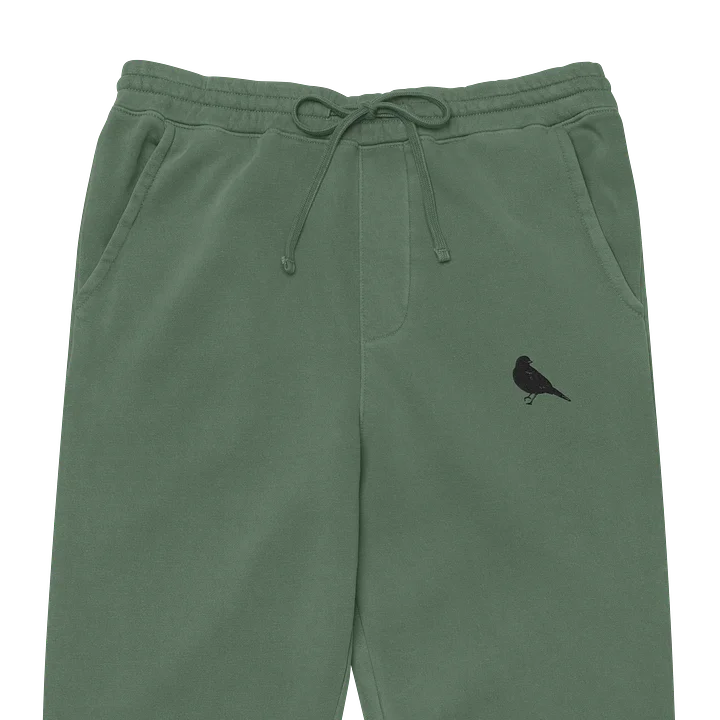 Pigment Dyed Comfort: Ultra Soft Joggers product image (1)