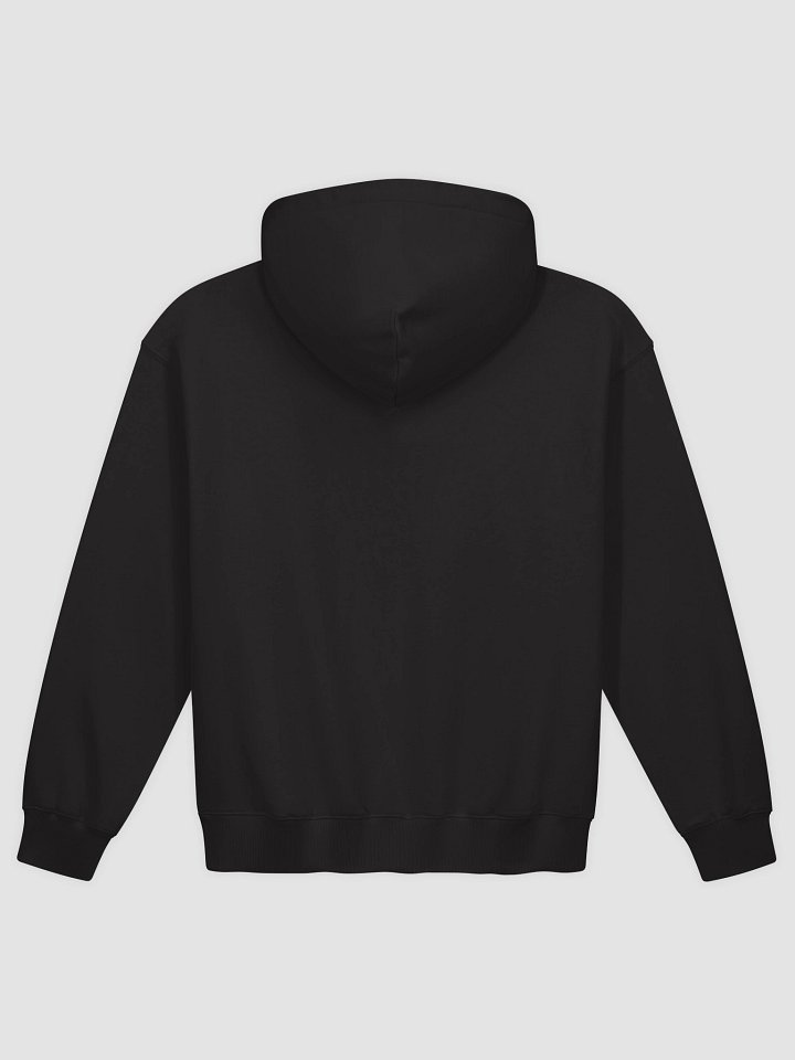 PRICED OUT Heavy French Terry Hoodie (Black) product image (2)