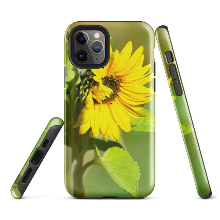 Tough Case iPhone®: Sunflower in early autumn product image (1)