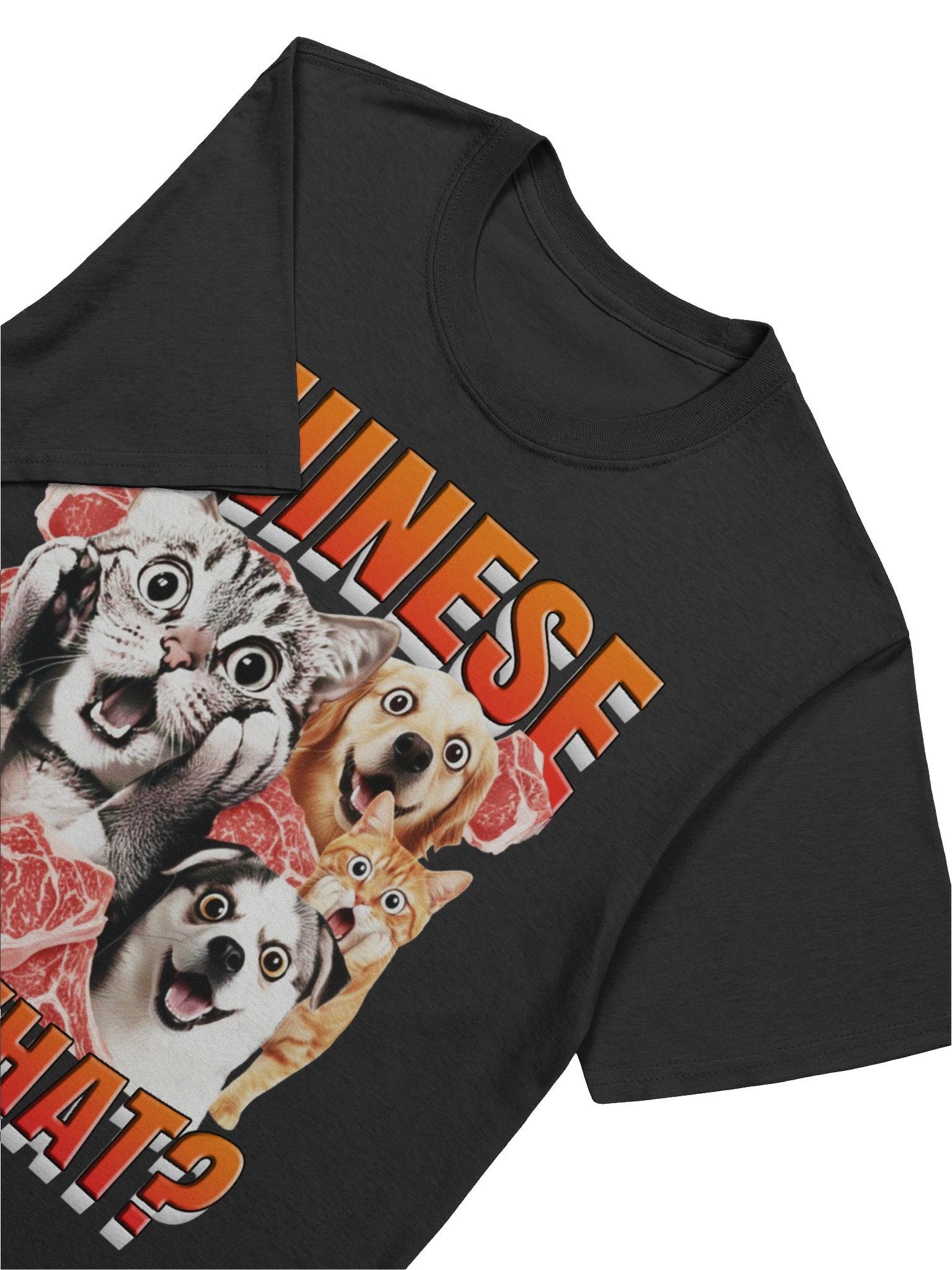 Chinese Eat What? T-Shirt product image (7)