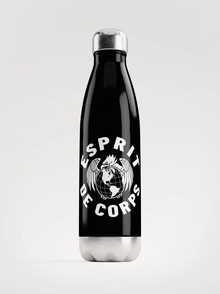 Esprit Performance Stainless Bottle product image (1)