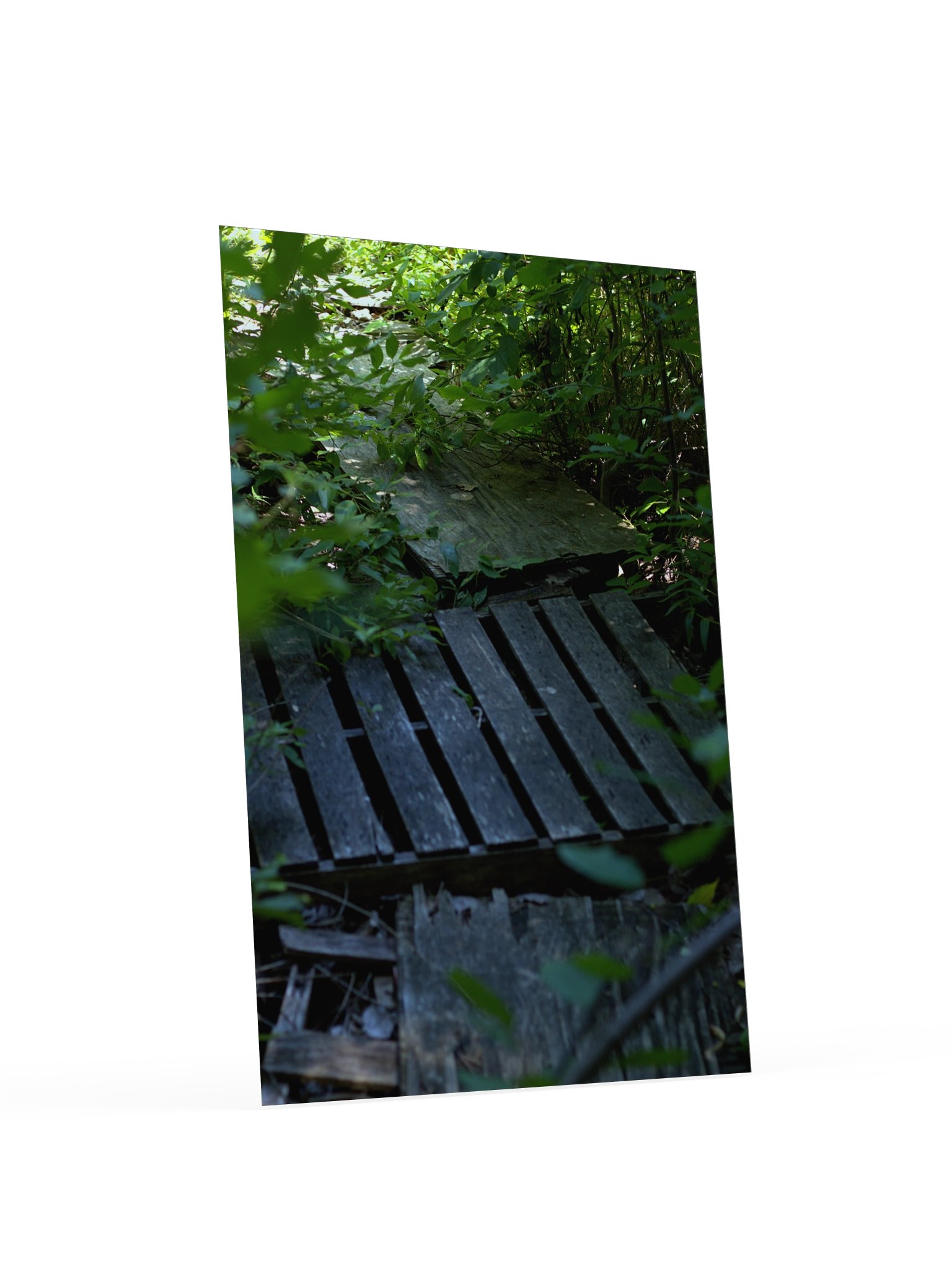 plank product image (4)