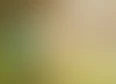 #WorldBuilding's tag thumbnail