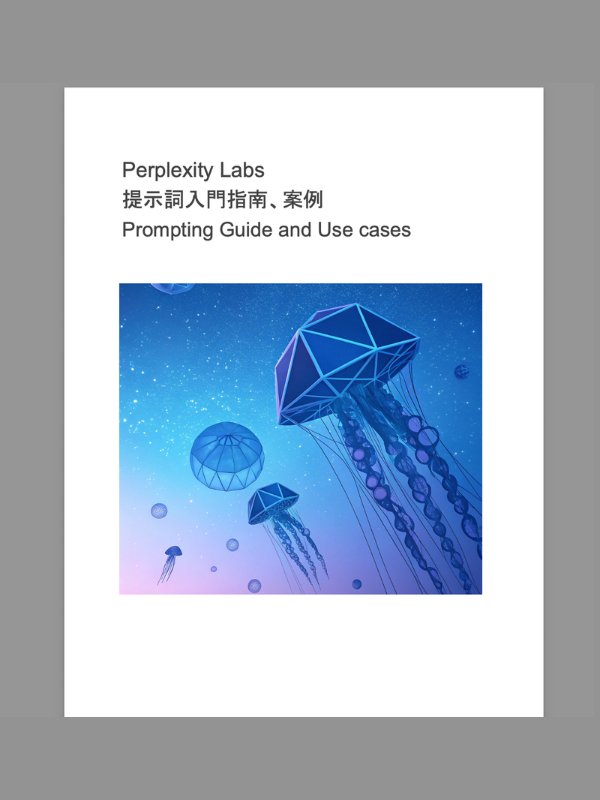 Perplexity Labs Prompting Guide and Use cases 提示詞入門指南與案例 product image (1)