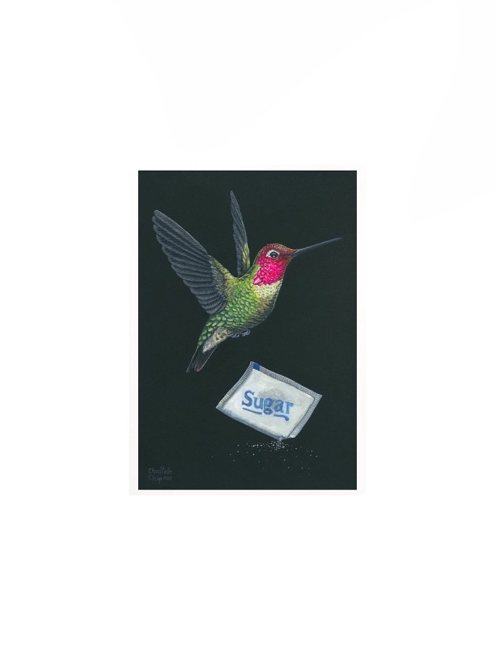 Succor I (Anna's Hummingbird) - Art Print product image (4)